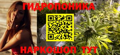 прущие грибы Краснодар