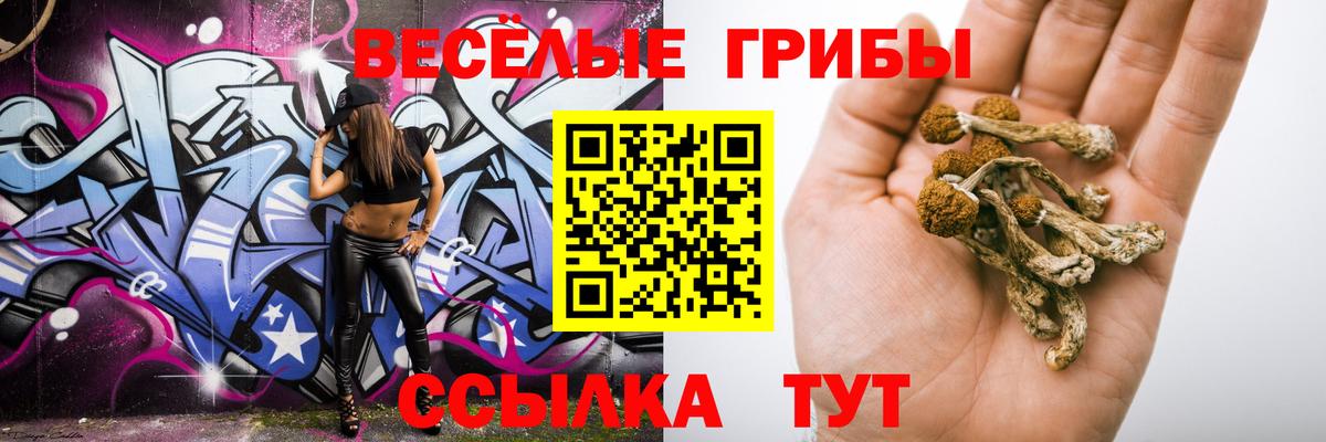 Карачаевск  Галлюциногенные грибы MAGIC MUSHROOMS  Вход с VPN  Галлюциногенные грибы мицелий 